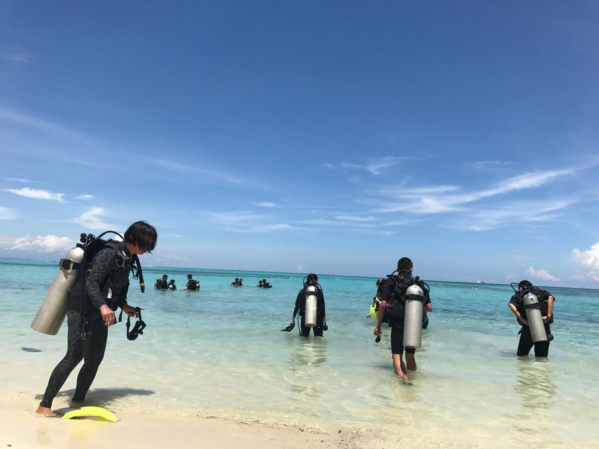 Dolphin Bay Island Resort Kota Belud Ngoại thất bức ảnh